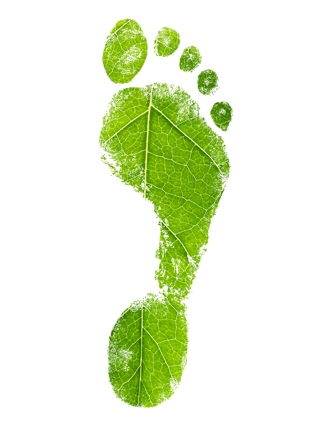 Een afbeelding van een voetafdruk gemaakt van een groen blad.